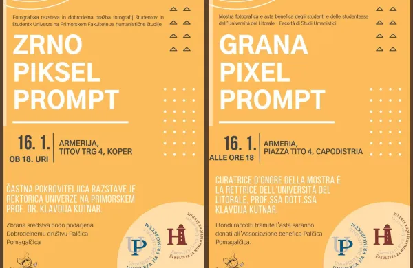 Dobrodelna razstava z naslovom Zrno/Piksel/Prompt 