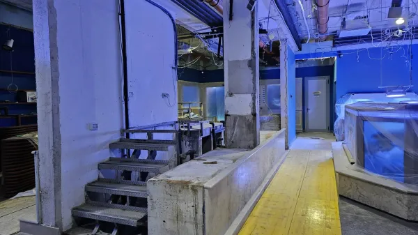 Na akvarijskih steklih so se nabrale po&scaron;kodbe in znaki dotrajanosti.