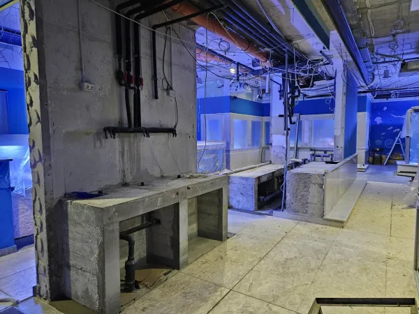 Na akvarijskih steklih so se nabrale po&scaron;kodbe in znaki dotrajanosti.