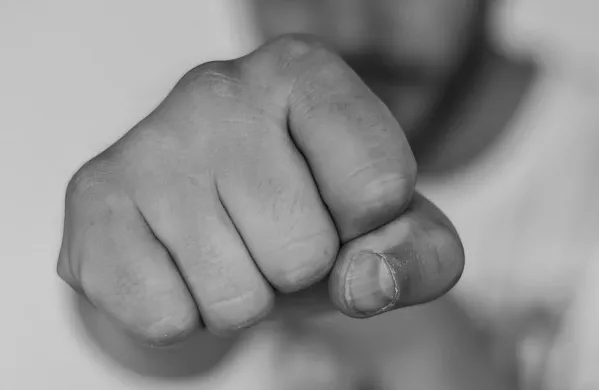 pest, barufa, pretep, punja