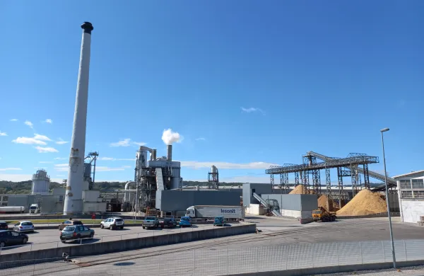 lesonit ilirska bistrica