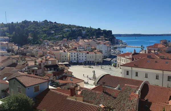 piran tartinijev trg razgled