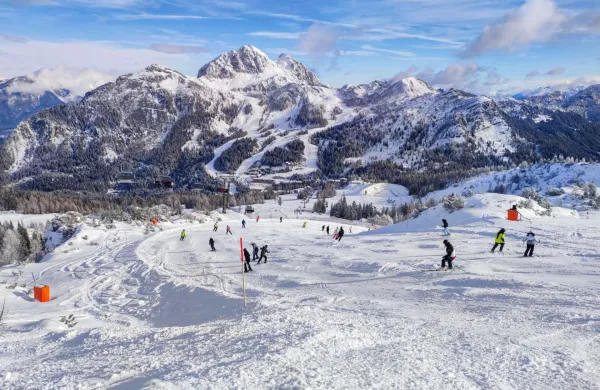 Ko čez noč pade sneg in zjutraj posije sonce, nastane zimska pravljica.