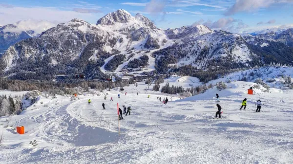 Ko čez noč pade sneg in zjutraj posije sonce, nastane zimska pravljica.