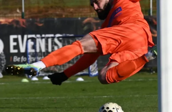 Kanarčki že v solidni formi