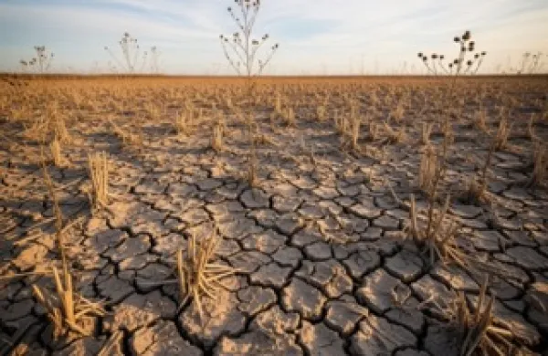Poletna su&scaron;aRazpokana zemlja, uvela trta ali polje