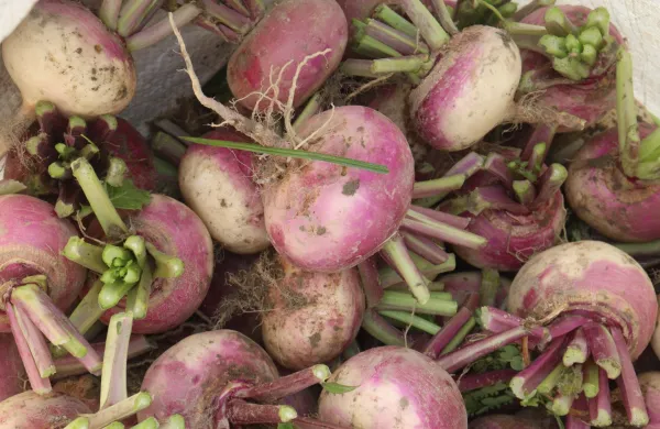 Image: 1065634276, License: Royalty-free, Restrictions:, Model Release: no, Credit line: Cavan Images, Cavan Images/Alamy/Profimedia