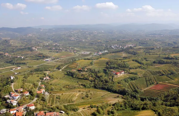 Kmetijstvo vzdržuje krajino, so bili v Brdih enotni tako stroka kot kmetijski pridelovalci.