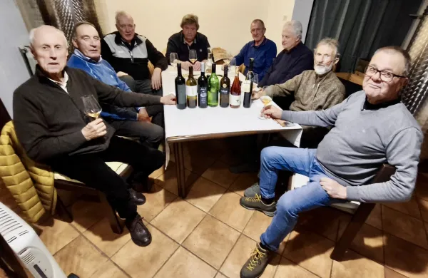 solkan vino vinarji zavrtanik pintar