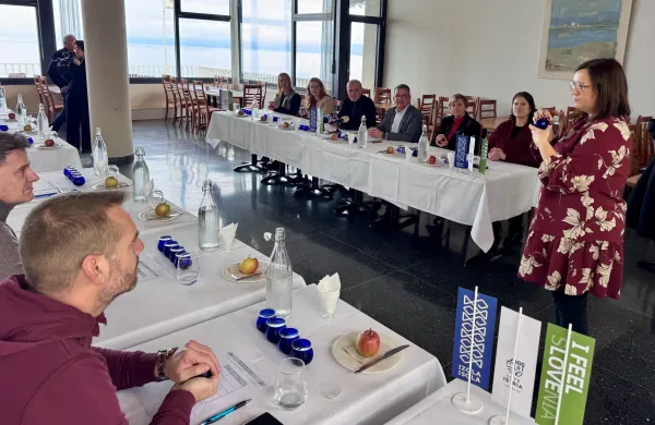 oljčno olje dosi belvedere 2026