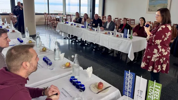 oljčno olje dosi belvedere 2026