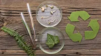 Raziskovalci InnoRenew CoE, UP IAM v projektu EmiCoPlast preučujejo mikrobne skupnosti za učinkovitej&scaron;o razgradnjo plastike