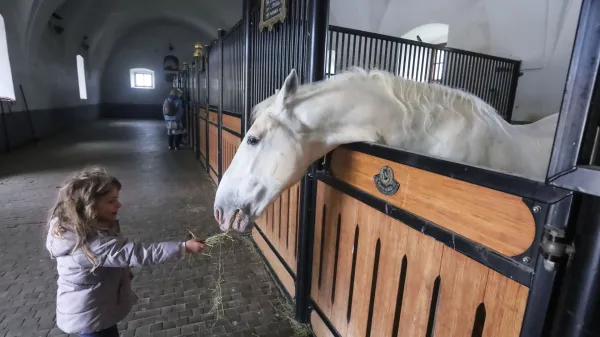 Lipica, 23.05.2021Kobilarna Lipica, lipicanci, konjinajstarej&scaron;i hlev Velbanca