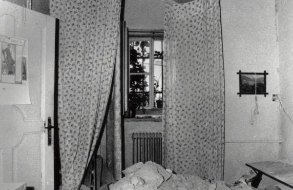 Potres ilirska bistrica 1956?