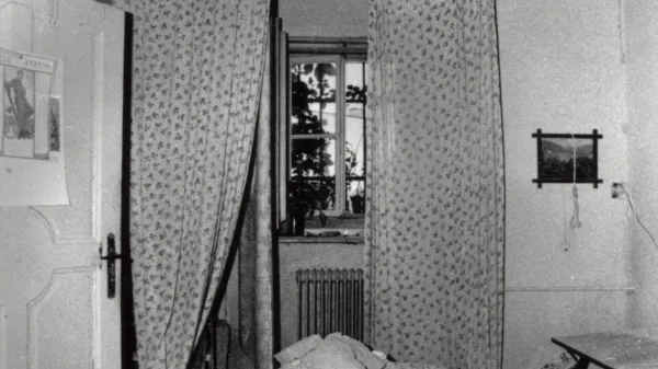 Potres ilirska bistrica 1956?