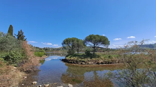 V okviru evropskega projekta LIFE4ADAPT je med drugim predvidena tudi obnova nasipa v morski laguni Stjuža v Krajinskem parku Strunjan. 