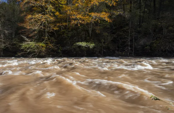 Hobovse pri Stari Oselici.Visok vodostaj reke Hobovscice.