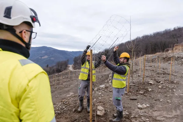Za&scaron;čita novih dreves