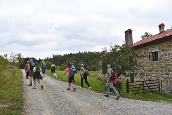 Vse bo ekstaza, ekstaza kulture