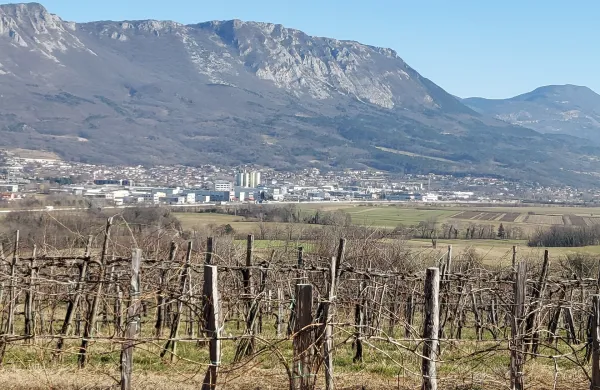 &ldquo;Dokument je dober, a kmetijstvo potrebuje tudi akcijski načrt&rdquo;