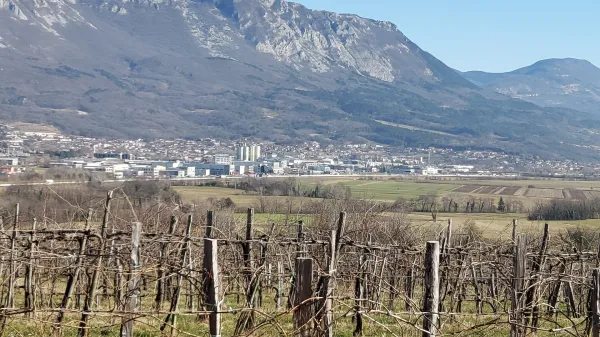 &ldquo;Dokument je dober, a kmetijstvo potrebuje tudi akcijski načrt&rdquo;