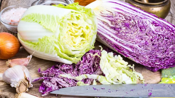 Shredded Chinese cabbage salad. Studio Photo,Image: 315526087, License: Royalty-free, Restrictions:, Model Release: no, Credit line: Irina Kryvasheina/Alamy/Profimedia