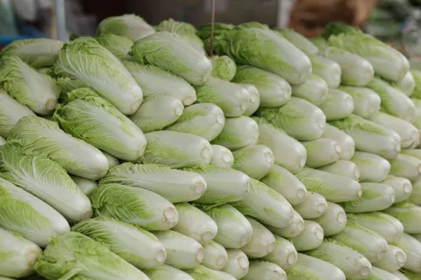 Image: 1023726772, License: Royalty-free, Restrictions:, Model Release: no, Credit line: Narin Eungsuwat/Alamy/Profimedia