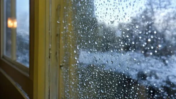 5 opozorilnih znakov, da va&scaron; dom "ne diha" (in zakaj odprto okno ni re&scaron;itev)