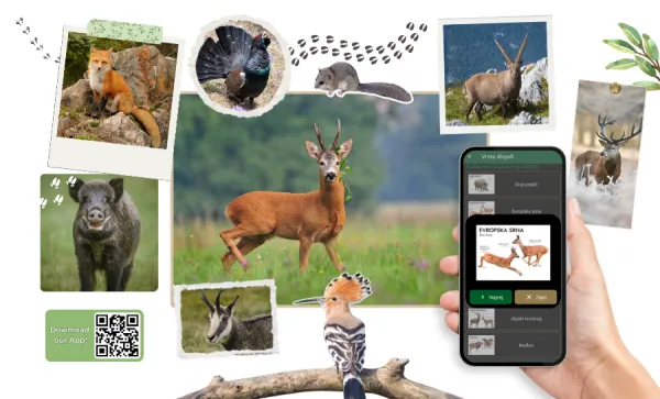 Ob mednarodnem dnevu žensk in deklet v ospredju navdihujoče raziskovalke, ki na UP vodijo projekte občanske znanosti