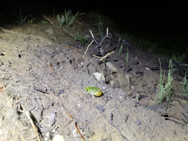 Ob mednarodnem dnevu žensk in deklet v ospredju navdihujoče raziskovalke, ki na UP vodijo projekte občanske znanosti