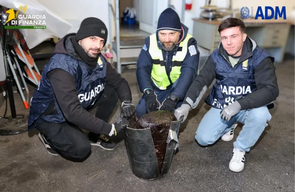 Prestregli opij, ki bi lahko bil vreden milijon evrov