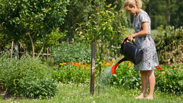 Vzgoji svoje domače sadje