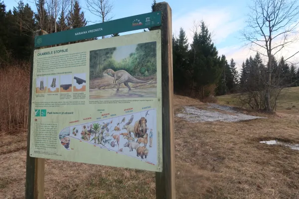 Dinozavrove stopinje