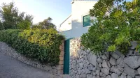 Zadnja leta je v porastu raba različnih vednozelenih sredozemskih grmovnic, saj jih vse več dobro prezimi tudi daleč stran od morja. 