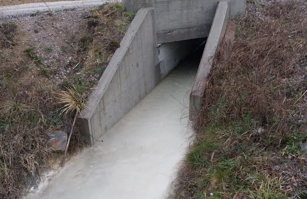 Kako postopati, če zaznamo onesnaženje okolja
