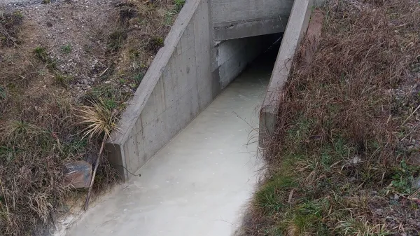 Kako postopati, če zaznamo onesnaženje okolja