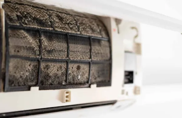 Prijetno bivanje tudi v poletni vročini