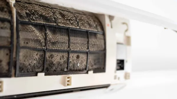 Prijetno bivanje tudi v poletni vročini