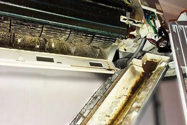 Prijetno bivanje tudi v poletni vročini