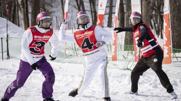 CIlj igre je zadeti vseh sedem igralcev nasprotne ekipe ali zavzeti njihovo zastavo.