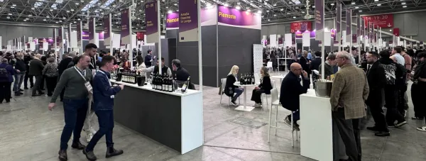 slow wine bologna 2026