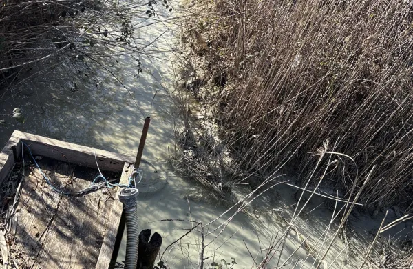 Deset dni kasneje ponovno onesnaženje vodotokov pod gradbi&scaron;čem drugega tira