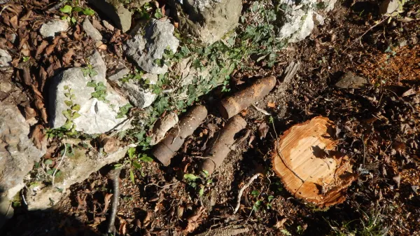 bombe, granate, državna enota NUS, Darko Zonjič