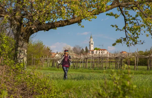 Festival Kra&scaron;ka gmajna