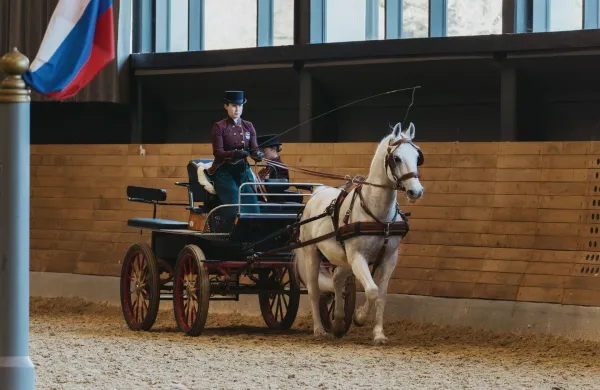 Jahalna &scaron;ola Lipica, jahačice, ženske