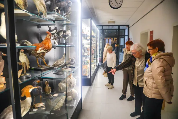 Koper, 12.11.2025Collegio dei nobili, Dan odprtih vrat, MOK, Mestna obcina Koper