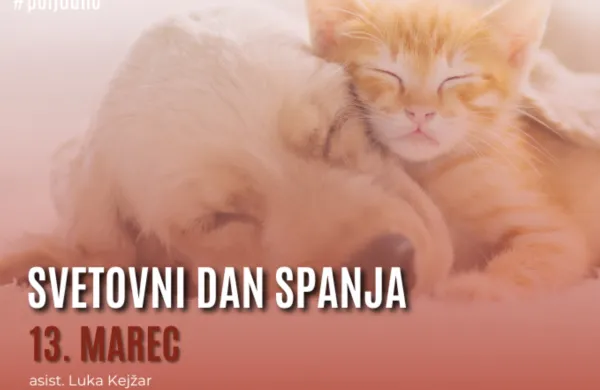 13. marca obeležujemo svetovni dan spanja