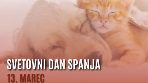 13. marca obeležujemo svetovni dan spanja