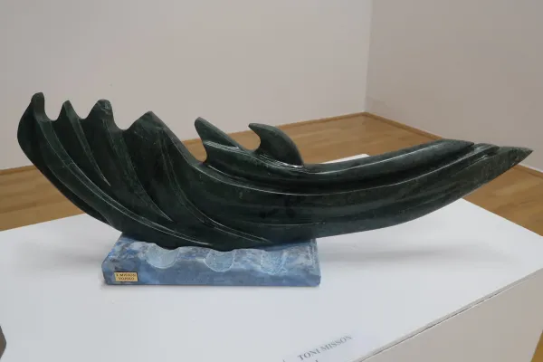 Radi imajo Missona in pridih morja