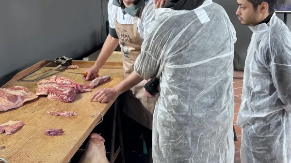 od repa do glave brda